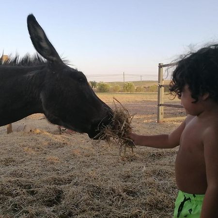לה קרלוטה Camping Carlos III מראה חיצוני תמונה
