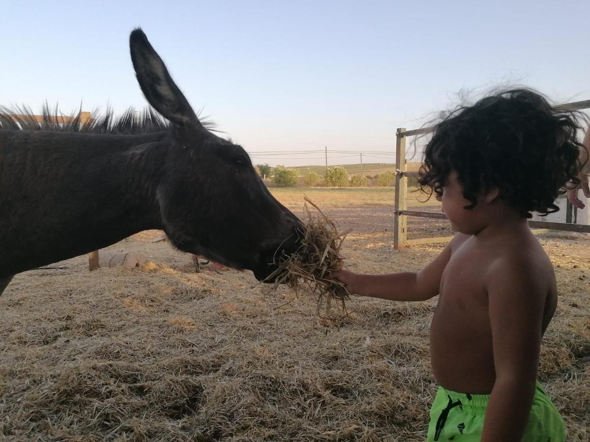 לה קרלוטה Camping Carlos III מראה חיצוני תמונה