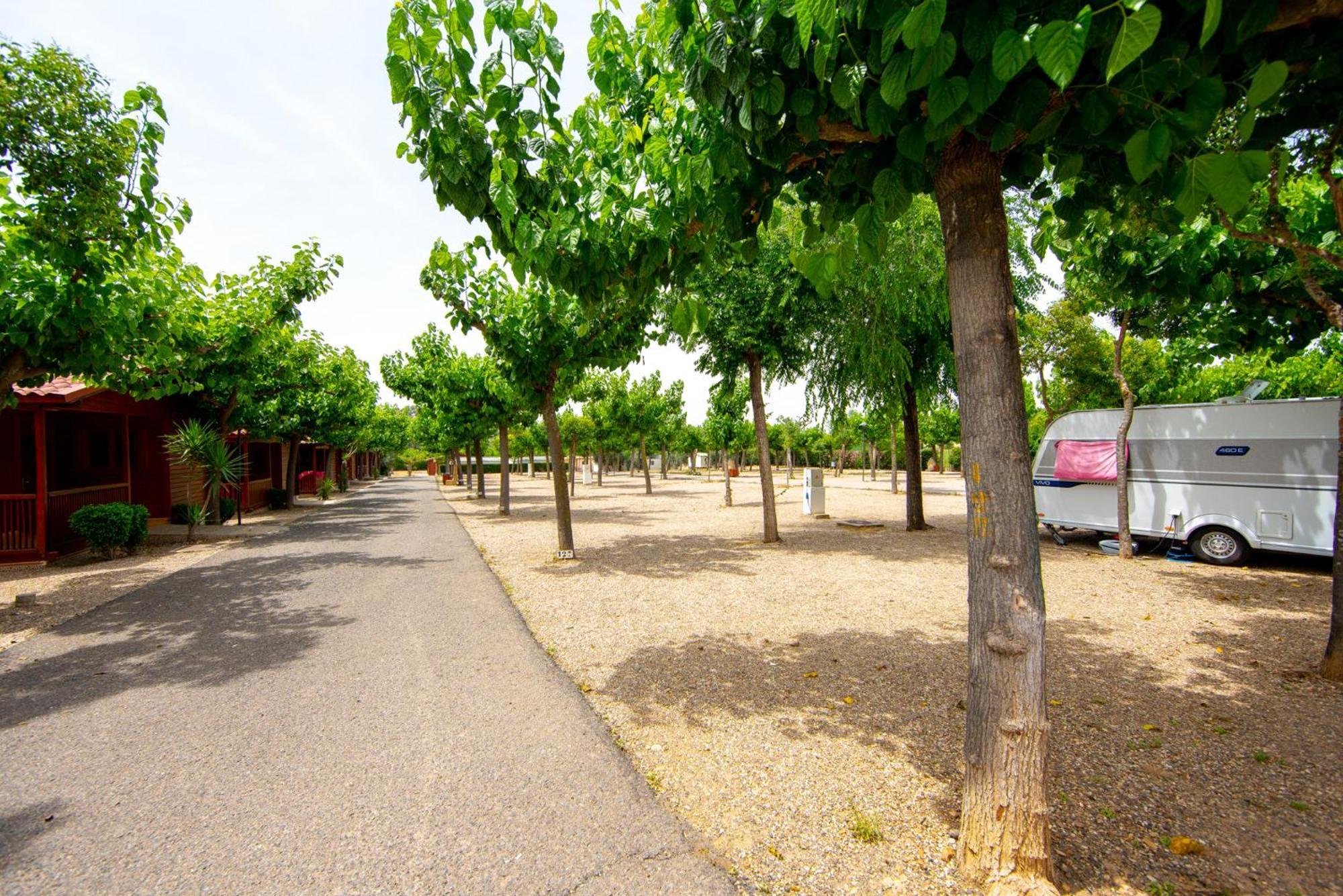 לה קרלוטה Camping Carlos III מראה חיצוני תמונה